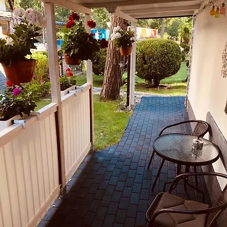 Teresa&jurek * 포비에로보