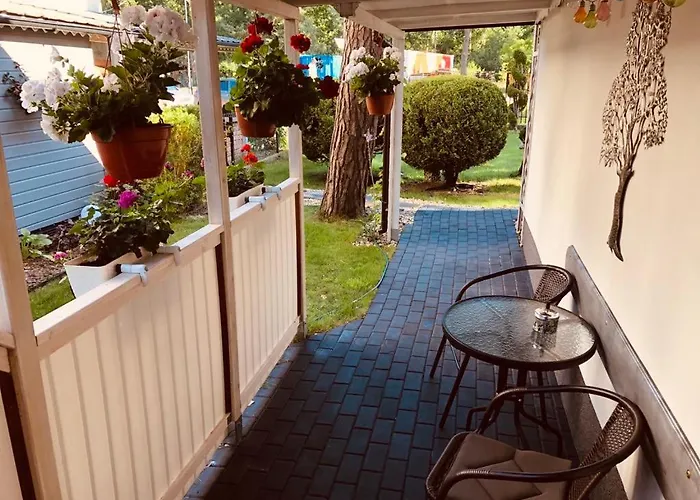 Teresa&jurek * 포비에로보